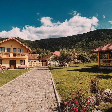 Casa Bunicilor Hotel Nucsoara  Екстериор снимка