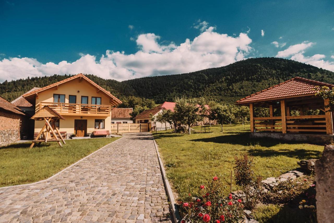 Casa Bunicilor Hotel Nucsoara  Екстериор снимка