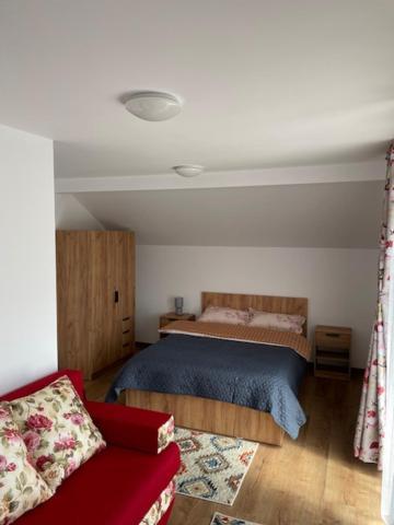 Casa Bunicilor Hotel Nucsoara  Екстериор снимка